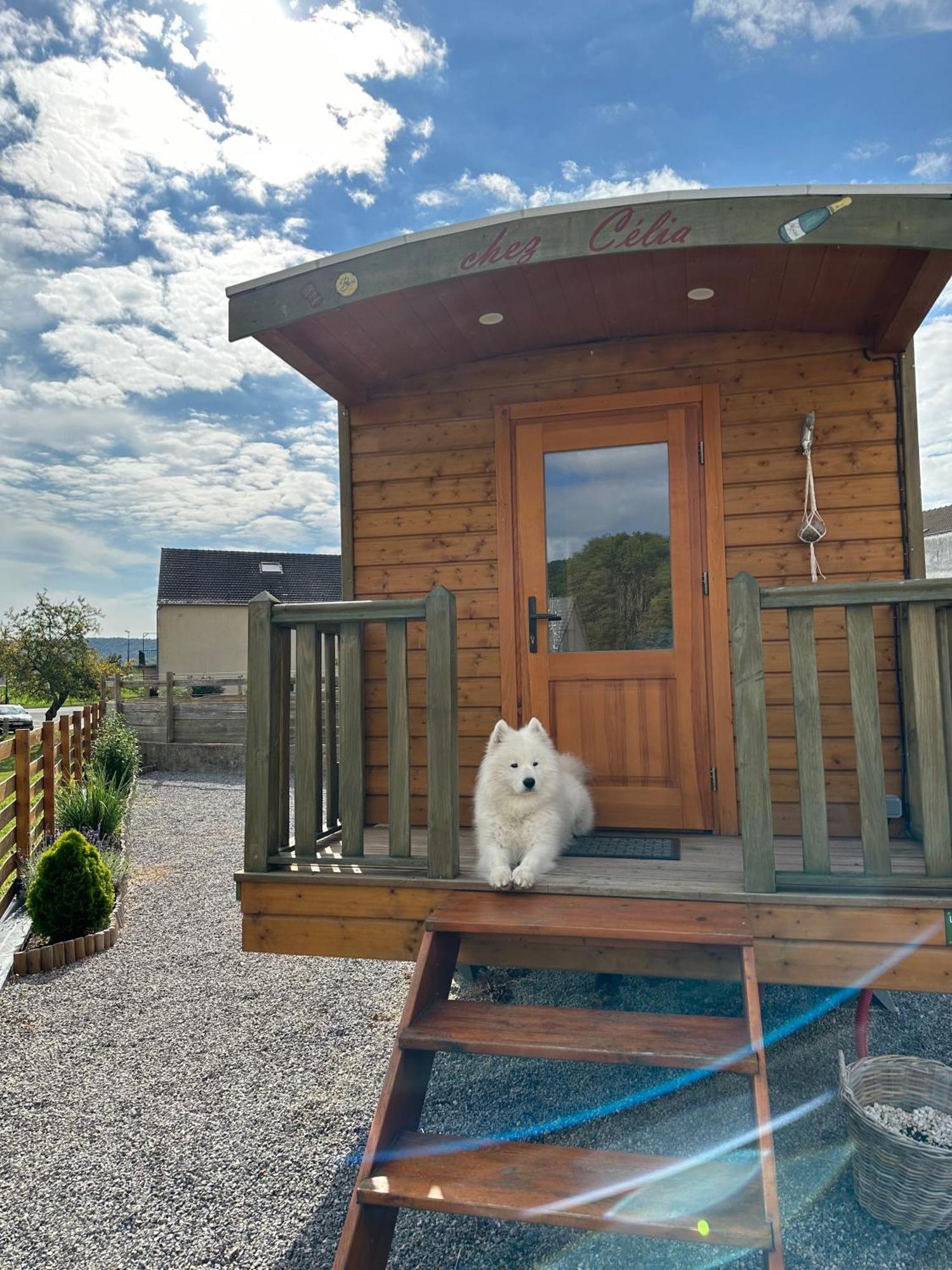 Chez Celia, Roulotte En Champagne Villa Fleury-la-Riviere ภายนอก รูปภาพ